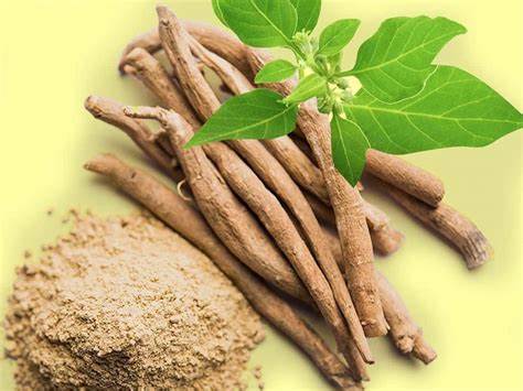 Ashwagandha Extractos herbales, frascos y especias tradicionales usados como suplementos naturales. Imagen ilustrativa de un entorno de medicina herbal.